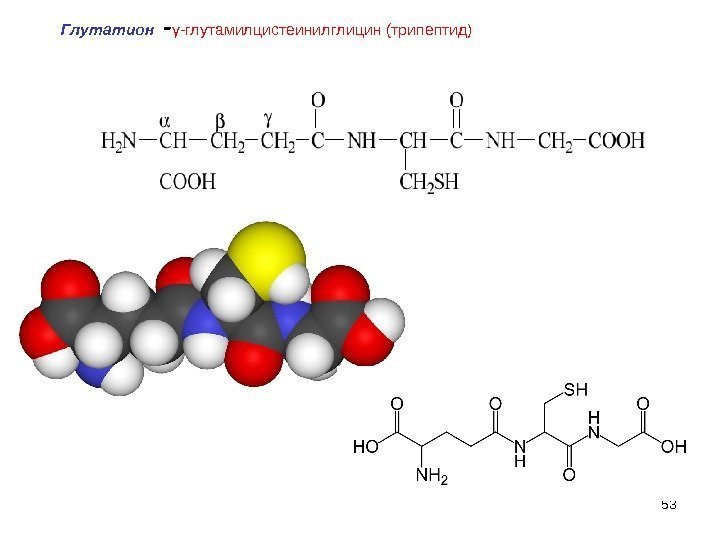 53 Глутатион - γ-глутамилцистеинилглицин(трипептид) 