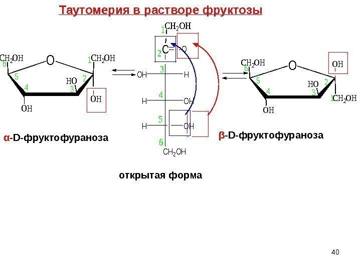 C HOH OHH CH 2 OH O 1 2 3 4 5 6 OCH