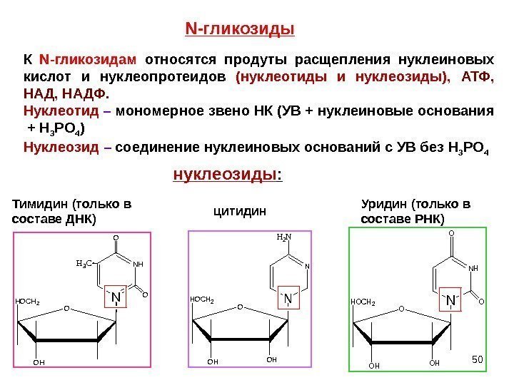 50 N -гликозиды. N NHH 3 C O OHOCH 2 OH O Тимидин (только