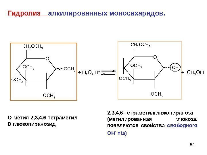 53 OCH 3 OCH 3 CH 2 OCH 3+ H 2 O, H +