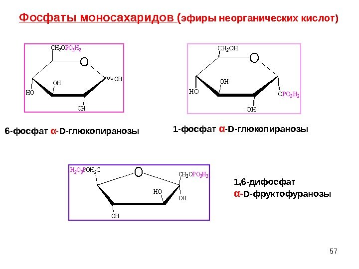 Фосфаты моносахаридов ( эфиры неорганических кислот )O CH 2 OPO 3 H 2 HO