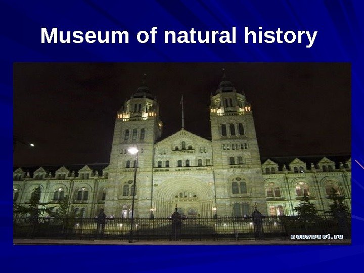 Museum of natural history  