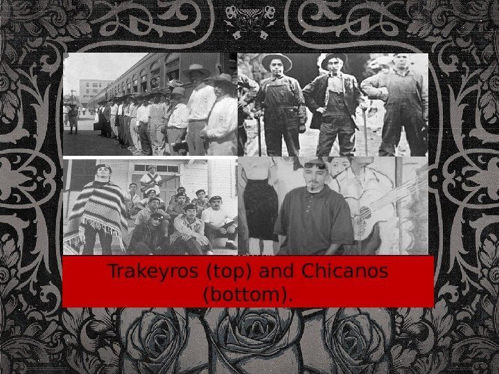 Trakeyros (top) and Chicanos (bottom). 