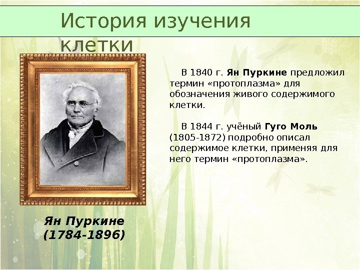 Ян Пуркине (1784 -1896) В 1840 г.  Ян Пуркине предложил термин «протоплазма» для