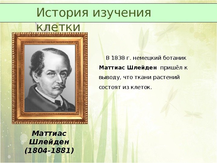 Маттиас Шлейден (1804 -1881) В 1838 г. немецкий ботаник Маттиас Шлейден  пришёл к