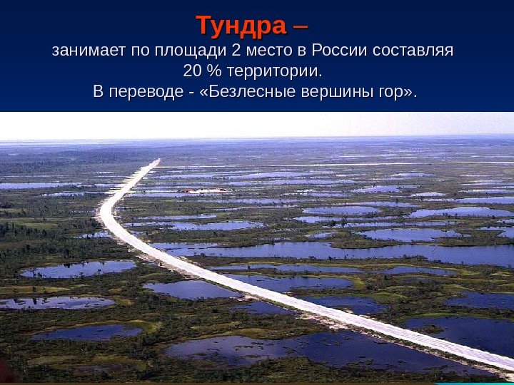   Тундра – – занимает по площади 2 место в России составляя 20