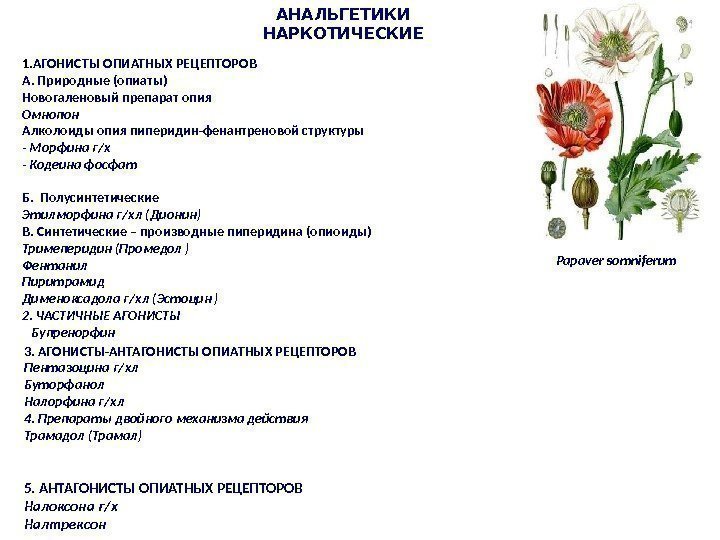 АНАЛЬГЕТИКИ НАРКОТИЧЕСКИЕ 1. АГОНИСТЫ ОПИАТНЫХ РЕЦЕПТОРОВ A. Природные (опиаты) Новогаленовый препарат опия Омнопон Алколоиды