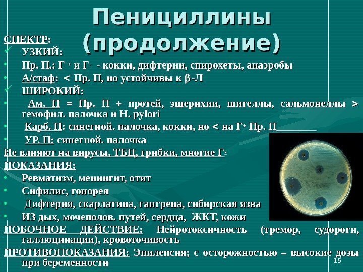 1515 Пенициллины (продолжение)СПЕКТР :  : УЗКИЙ: • Пр. П. : :  Г