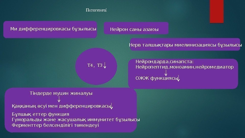 Патогенезі Т 4 ,  Т 3 Ми дифференцировкасы бұзылысы Нейрон саны азаюы Нерв