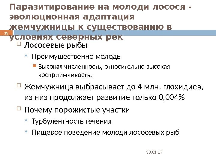 Паразитирование на молоди лосося - эволюционная адаптация жемчужницы к существованию в условиях северных рек