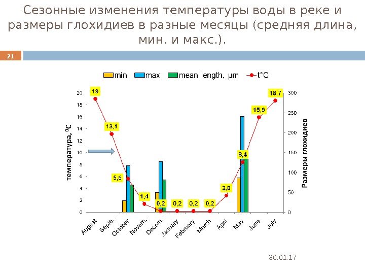 Сезонные изменения температуры воды в реке и размеры глохидиев в разные месяцы (средняя длина,