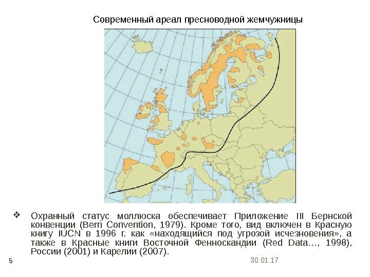 30. 01. 17 5 Современный ареал пресноводной жемчужницы Охранный статус моллюска обеспечивает Приложение II