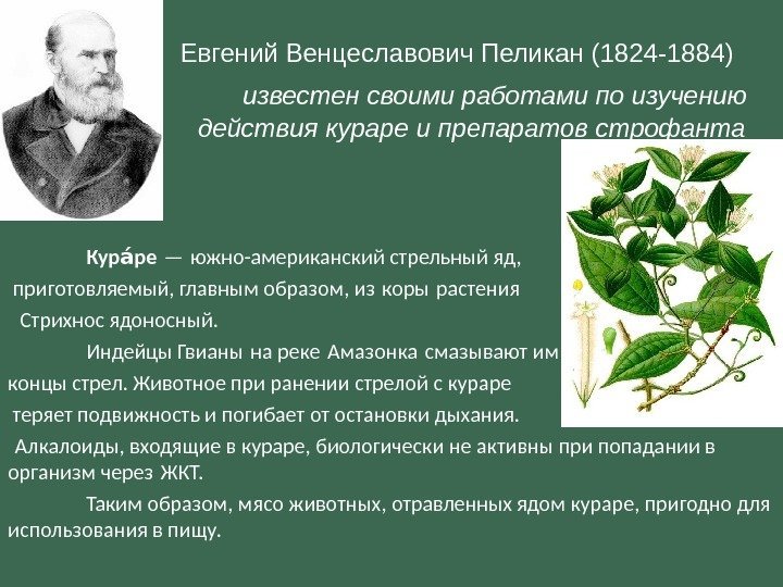     Евгений Венцеславович Пеликан (1824 -1884)     