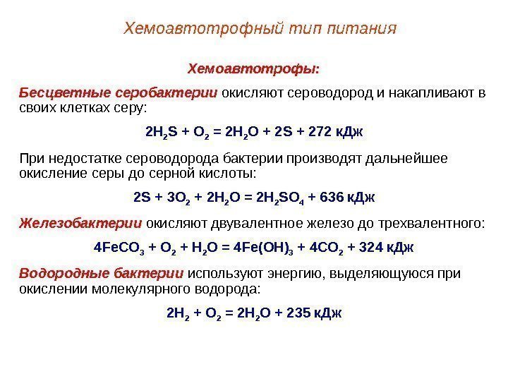 Хемоавтотрофы: Бесцветные серобактерии окисляют сероводород и накапливают в своих клетках серу: 2 Н 2