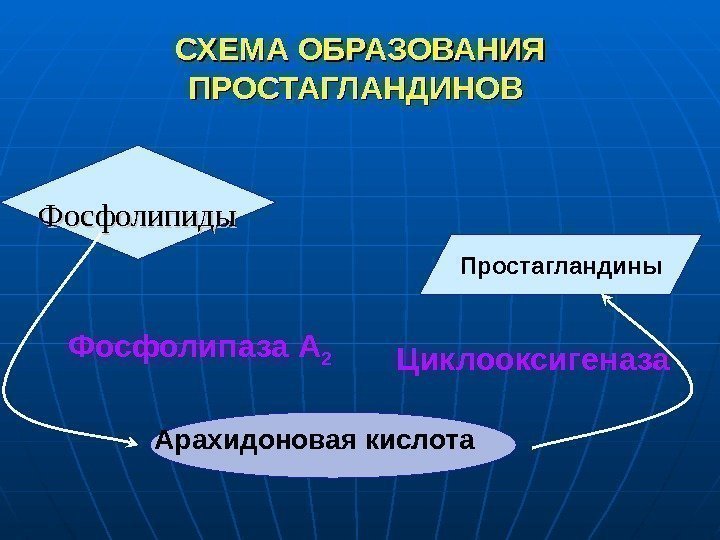 Простагландины. СХЕМА ОБРАЗОВАНИЯ ПРОСТАГЛАНДИНОВ Фосфолипиды  Фосфолипаза А 2 Циклооксигеназа Арахидоновая кислота 