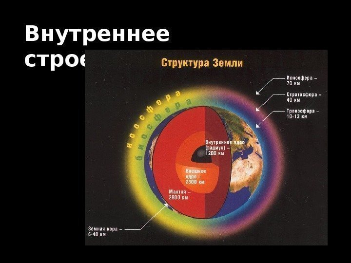   Внутреннее строение: 