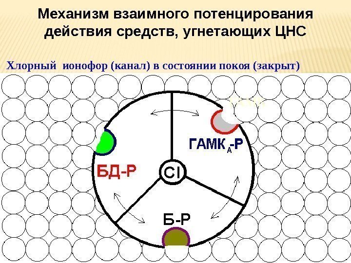 Механизм взаимного потенцирования действия средств, угнетающих ЦНС ГАМКХлорный ионофор (канал) в состоянии покоя (закрыт)