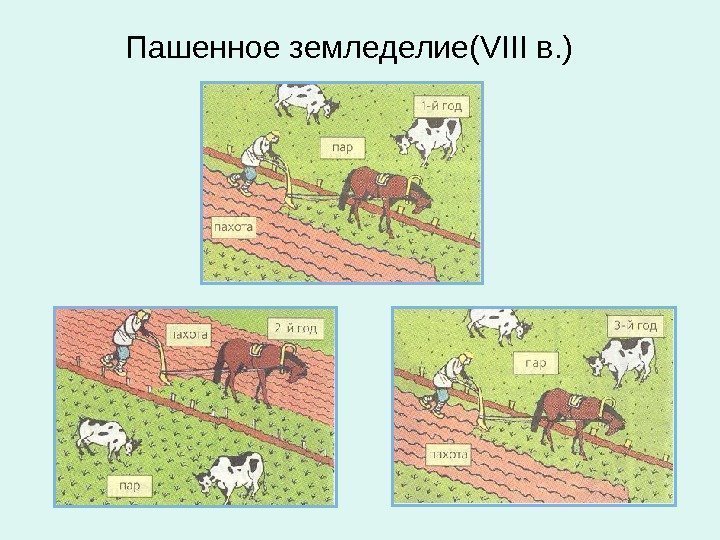 Пашенное земледелие(VIII в. ) 