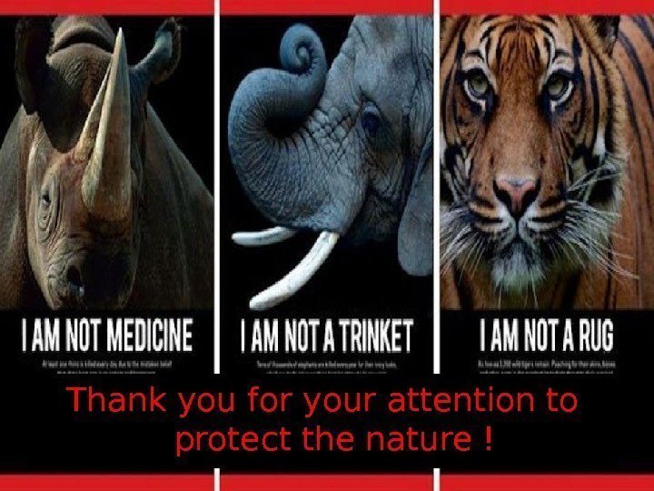 Thank you for your attention to protect the nature ! 
