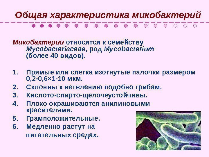   Общая характеристика микобактерий Микобактерии относятся к семейству Mycobacteriaceae , род Mycobacterium 