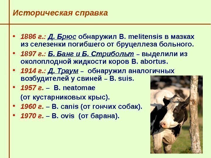   Историческая справка • 1886 г. :  Д. Брюс обнаружил В. 