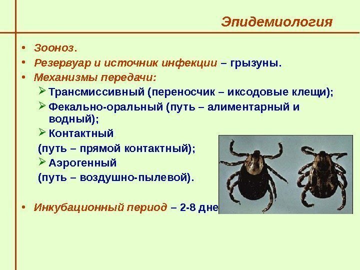 Возбудитель иксодовых клещей