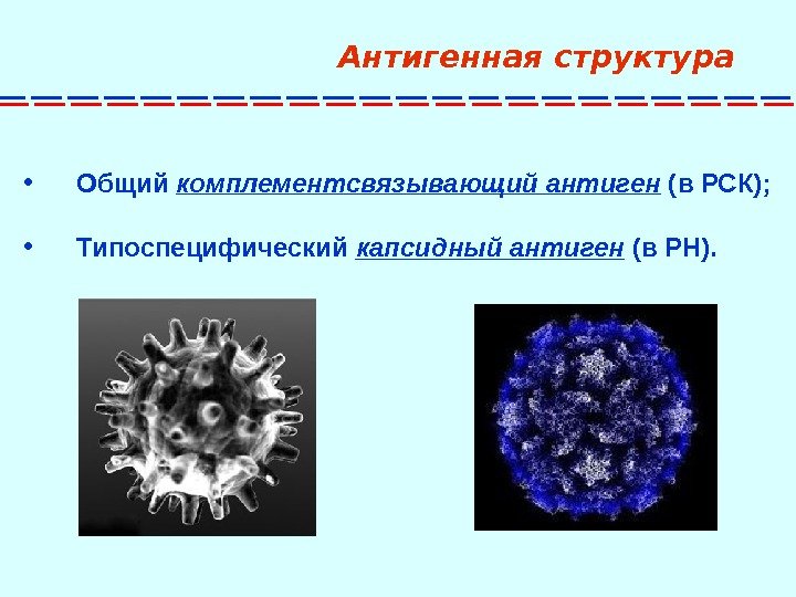 Энтеровирус презентация казакша