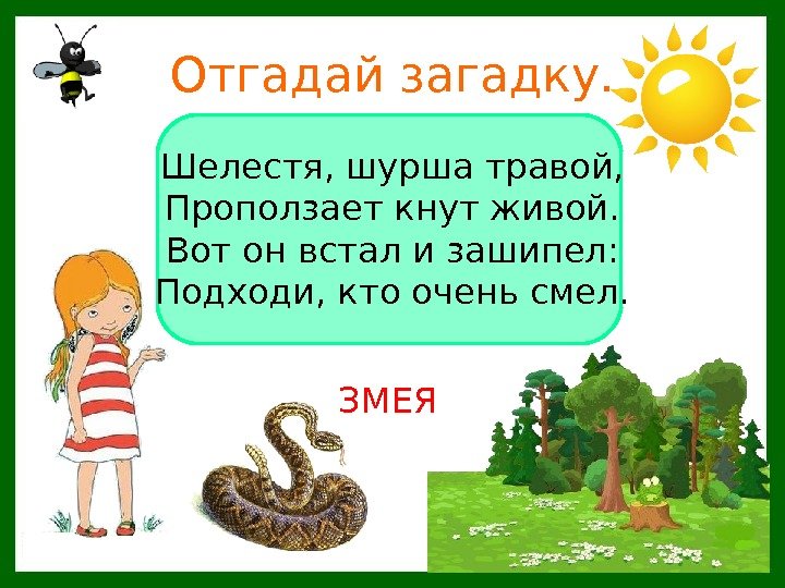   Отгадай загадку. Шелестя, шурша травой, Проползает кнут живой. Вот он встал и