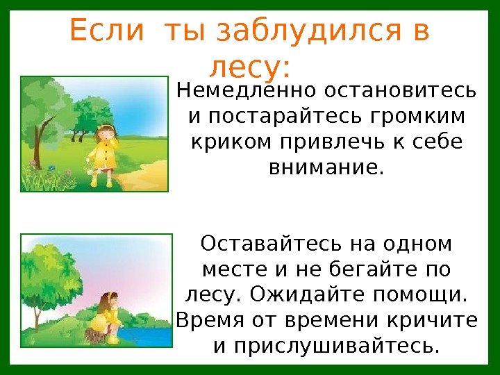   Если ты заблудился в лесу: Немедленно остановитесь и постарайтесь громким криком привлечь