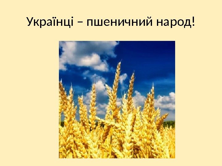 Українці – пшеничний народ! 