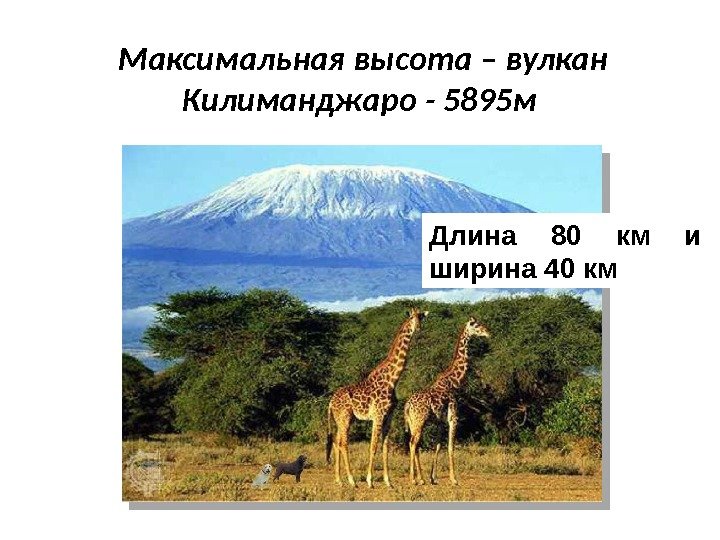 Максимальная высота – вулкан Килиманджаро - 5895 м Длина 80 км и ширина 40