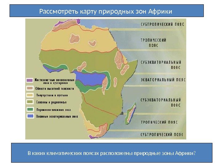 Рассмотреть карту природных зон Африки В каких климатических поясах расположены природные зоны Африки? 