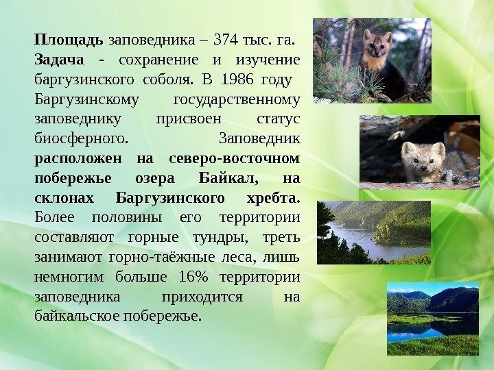Площадь заповедника– 374 тыс. га. Задача - сохранение и изучение баргузинского соболя. В 1986