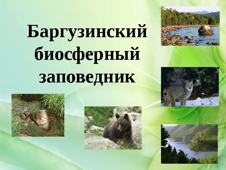 Баргузинский биосферный заповедник 