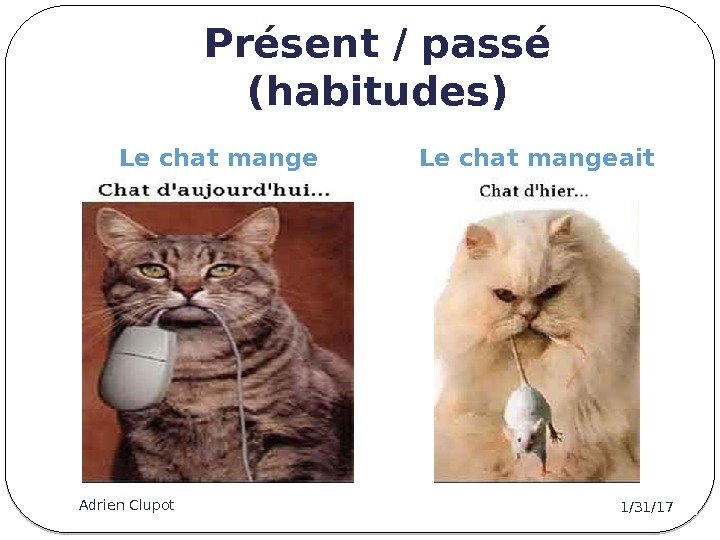 Présent / passé (habitudes) Le chat mangeait 1/31/17 Adrien Clupot 3 