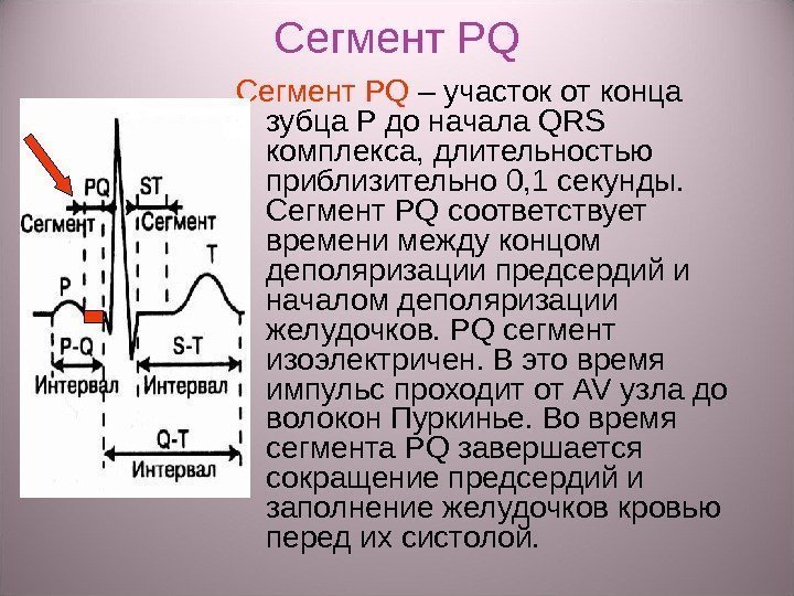 Сегмент P Q – участок от конца зубца P до начала QRS комплекса, длительностью