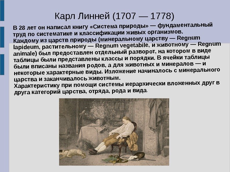 Карл Линней (1707 — 1778)В 28 лет он написал книгу «Система природы» — фундаментальный