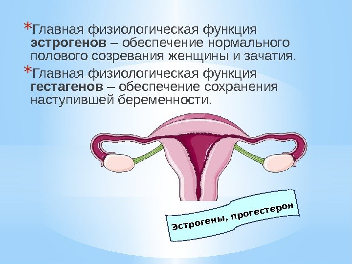 * Главная физиологическая функция эстрогенов – обеспечение нормального полового созревания женщины и зачатия. 
