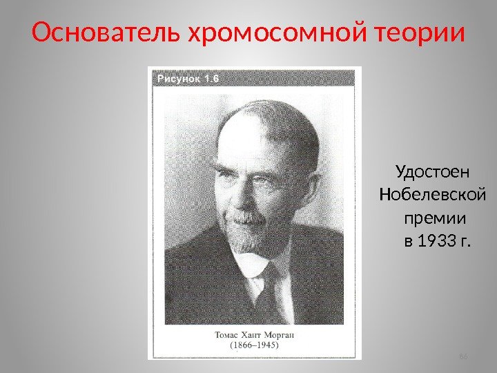 Основатель хромосомной теории 86 Удостоен Нобелевской премии  в 1933 г. 