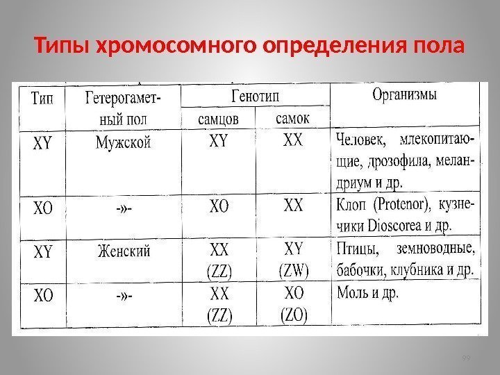 Хромосомное определение пола. 4 Основных типа хромосомного определения пола. Типы хромосомного определения пола 5 Тип. Типы генетического определения пола таблица. Схема генетического определения пола у разных видов.