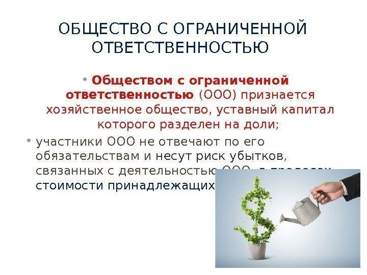 Презентация ооо пример