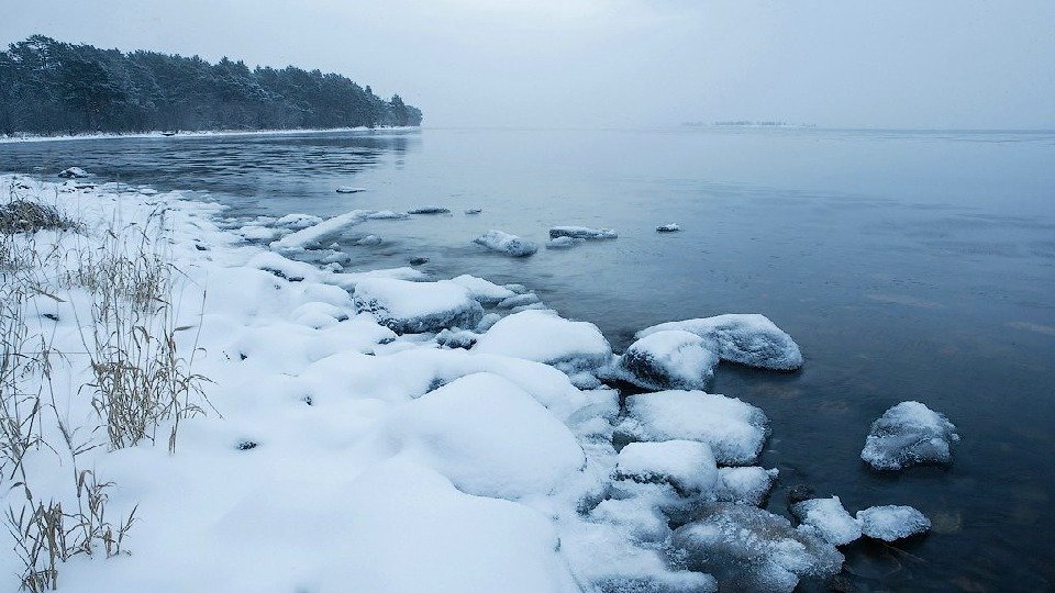 Онежское озеро егэ. Восточное побережье Онежского озера зимой. Температура воды в Онежском озере. Онежское озеро температура. Онежское озеро температура воды летом.