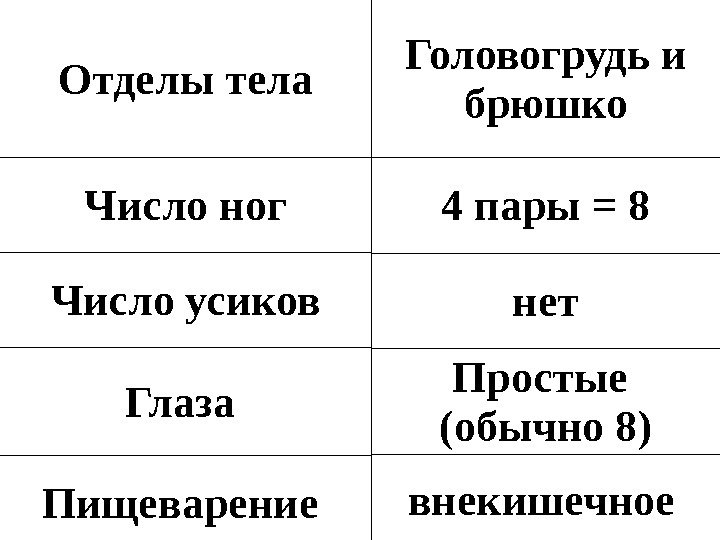 Отделы тела Число ног Число усиков Глаза Пищеварение Головогрудь и брюшко 4 пары =