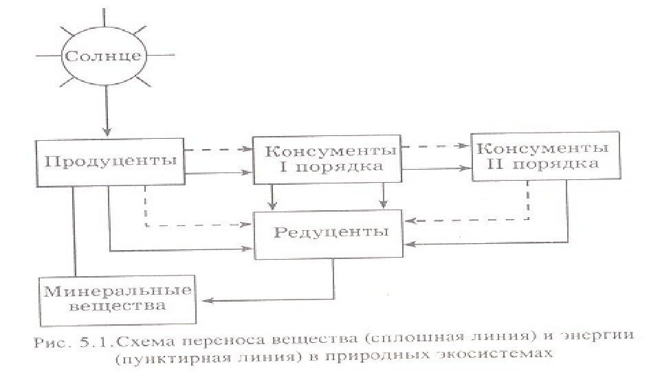 Организмы продуценты консументы редуценты основные структурные компоненты. Длинные пищевые цепи примеры. 1) Консументы 2) продуценты. Схема переноса диоксина по пищевым цепям