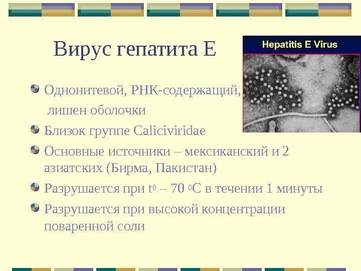 Вирус гепатита Е Однонитевой, РНК-содержащий,  лишен оболочки Близок группе Caliciviridae Основные источники –