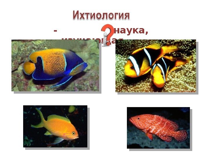 - наука,  изучающая рыб 