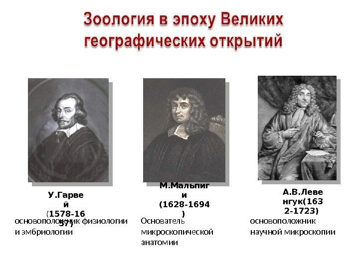 А. В. Леве нгук(163 2 -1723) М. Мальпиг и (1628 -1694 ) У. Гарве