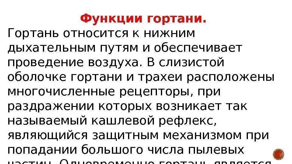 Функции гортани.  Гортань относится к нижним дыхательным путям и обеспечивает проведение воздуха. В