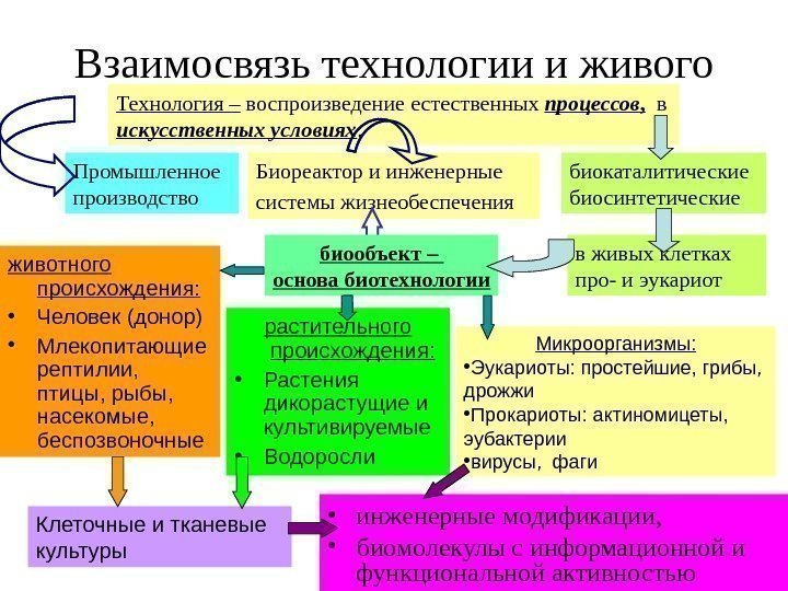 Взаимосвязь технологии и живого • инженерные модификации,  • биомолекулы с информационной и функциональной