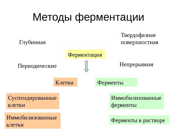 Методы ферментации Ферментация Глубинная Периодические Твердофазная поверхностная Непрерывная Клетки Суспендированные клетки Иммобилизованные клетки Ферменты